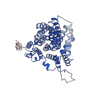 22457_7jsk_A_v1-2
Structure of the NaCT-Citrate complex