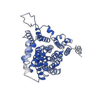 22457_7jsk_B_v1-2
Structure of the NaCT-Citrate complex