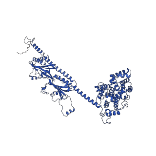 22458_7jsn_B_v2-0
Structure of the Visual Signaling Complex between Transducin and Phosphodiesterase 6
