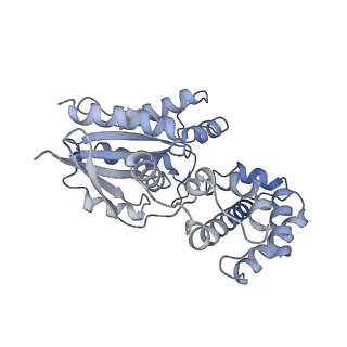 22458_7jsn_E_v1-1
Structure of the Visual Signaling Complex between Transducin and Phosphodiesterase 6