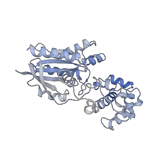 22458_7jsn_E_v2-0
Structure of the Visual Signaling Complex between Transducin and Phosphodiesterase 6