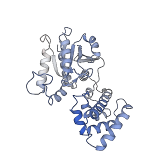 22458_7jsn_F_v1-1
Structure of the Visual Signaling Complex between Transducin and Phosphodiesterase 6