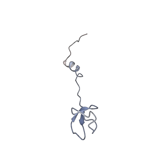 22459_7jss_B_v1-1
ArfB Rescue of a 70S Ribosome stalled on truncated mRNA with a partial A-site codon (+2-II)