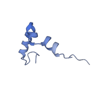 22459_7jss_D_v1-1
ArfB Rescue of a 70S Ribosome stalled on truncated mRNA with a partial A-site codon (+2-II)