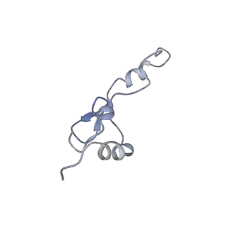 22459_7jss_E_v1-1
ArfB Rescue of a 70S Ribosome stalled on truncated mRNA with a partial A-site codon (+2-II)