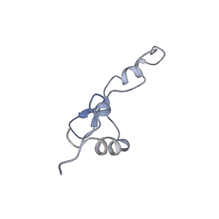 22459_7jss_E_v1-2
ArfB Rescue of a 70S Ribosome stalled on truncated mRNA with a partial A-site codon (+2-II)