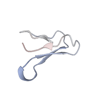 22459_7jss_F_v1-2
ArfB Rescue of a 70S Ribosome stalled on truncated mRNA with a partial A-site codon (+2-II)