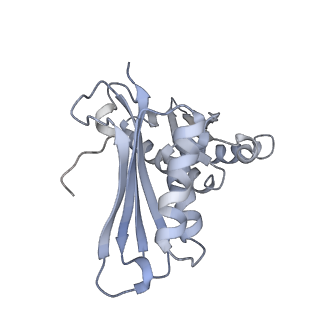 22459_7jss_H_v1-1
ArfB Rescue of a 70S Ribosome stalled on truncated mRNA with a partial A-site codon (+2-II)