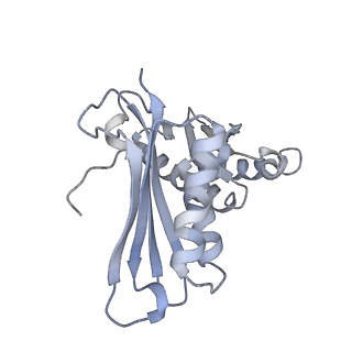 22459_7jss_H_v1-2
ArfB Rescue of a 70S Ribosome stalled on truncated mRNA with a partial A-site codon (+2-II)