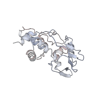 22459_7jss_I_v1-1
ArfB Rescue of a 70S Ribosome stalled on truncated mRNA with a partial A-site codon (+2-II)