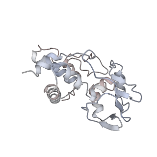 22459_7jss_I_v1-2
ArfB Rescue of a 70S Ribosome stalled on truncated mRNA with a partial A-site codon (+2-II)