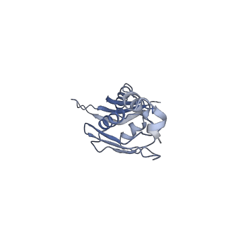 22459_7jss_J_v1-1
ArfB Rescue of a 70S Ribosome stalled on truncated mRNA with a partial A-site codon (+2-II)