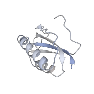 22459_7jss_K_v1-1
ArfB Rescue of a 70S Ribosome stalled on truncated mRNA with a partial A-site codon (+2-II)