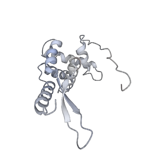 22459_7jss_L_v1-2
ArfB Rescue of a 70S Ribosome stalled on truncated mRNA with a partial A-site codon (+2-II)