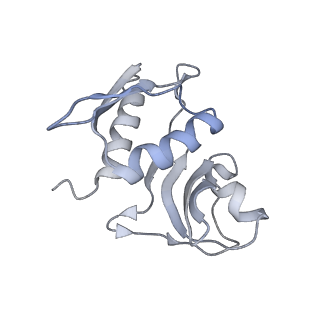 22459_7jss_M_v1-2
ArfB Rescue of a 70S Ribosome stalled on truncated mRNA with a partial A-site codon (+2-II)