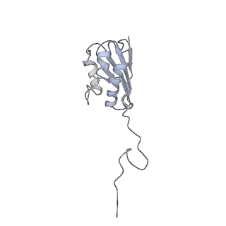 22459_7jss_N_v1-1
ArfB Rescue of a 70S Ribosome stalled on truncated mRNA with a partial A-site codon (+2-II)