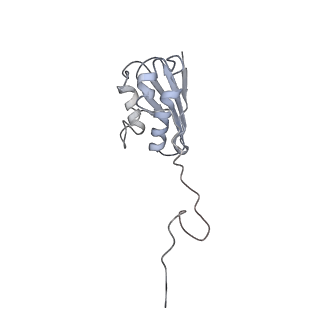 22459_7jss_N_v1-2
ArfB Rescue of a 70S Ribosome stalled on truncated mRNA with a partial A-site codon (+2-II)