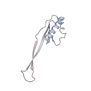 22459_7jss_O_v1-1
ArfB Rescue of a 70S Ribosome stalled on truncated mRNA with a partial A-site codon (+2-II)