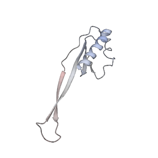 22459_7jss_O_v1-2
ArfB Rescue of a 70S Ribosome stalled on truncated mRNA with a partial A-site codon (+2-II)