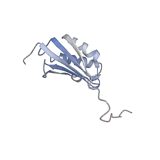 22459_7jss_P_v1-1
ArfB Rescue of a 70S Ribosome stalled on truncated mRNA with a partial A-site codon (+2-II)