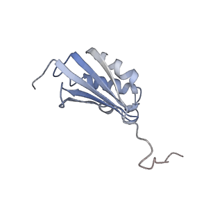 22459_7jss_P_v1-2
ArfB Rescue of a 70S Ribosome stalled on truncated mRNA with a partial A-site codon (+2-II)