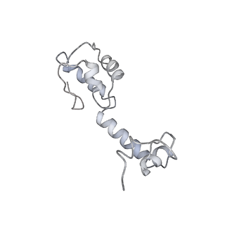 22459_7jss_R_v1-1
ArfB Rescue of a 70S Ribosome stalled on truncated mRNA with a partial A-site codon (+2-II)