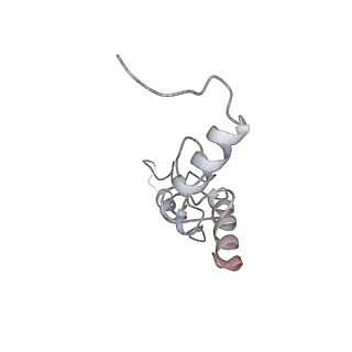 22459_7jss_S_v1-1
ArfB Rescue of a 70S Ribosome stalled on truncated mRNA with a partial A-site codon (+2-II)