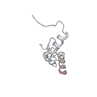 22459_7jss_S_v1-2
ArfB Rescue of a 70S Ribosome stalled on truncated mRNA with a partial A-site codon (+2-II)