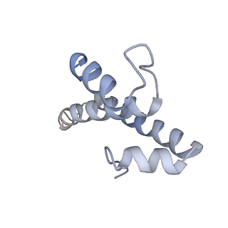 22459_7jss_T_v1-1
ArfB Rescue of a 70S Ribosome stalled on truncated mRNA with a partial A-site codon (+2-II)