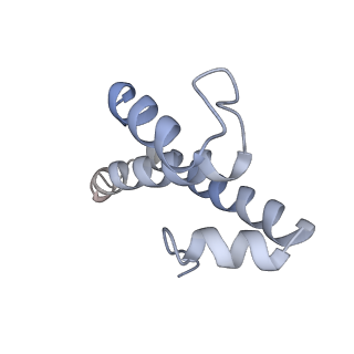 22459_7jss_T_v1-2
ArfB Rescue of a 70S Ribosome stalled on truncated mRNA with a partial A-site codon (+2-II)