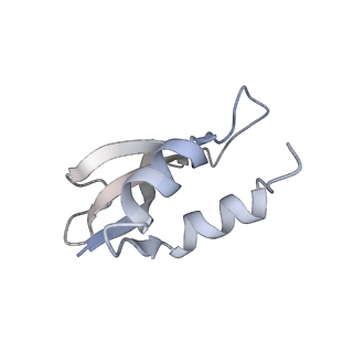 22459_7jss_U_v1-2
ArfB Rescue of a 70S Ribosome stalled on truncated mRNA with a partial A-site codon (+2-II)