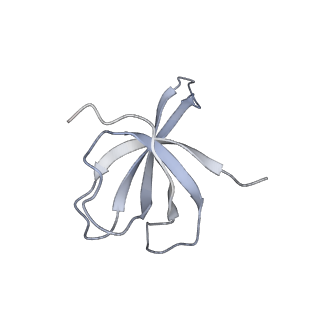 22459_7jss_V_v1-2
ArfB Rescue of a 70S Ribosome stalled on truncated mRNA with a partial A-site codon (+2-II)