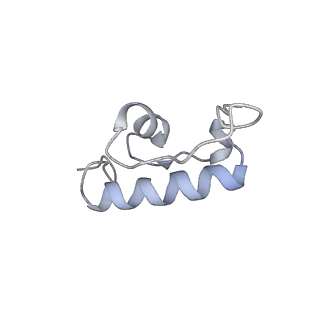 22459_7jss_W_v1-1
ArfB Rescue of a 70S Ribosome stalled on truncated mRNA with a partial A-site codon (+2-II)
