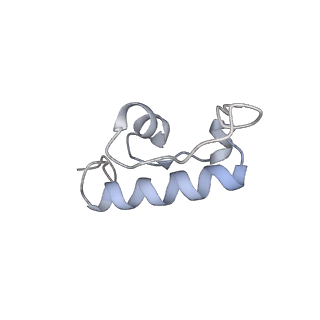 22459_7jss_W_v1-2
ArfB Rescue of a 70S Ribosome stalled on truncated mRNA with a partial A-site codon (+2-II)