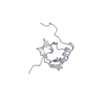 22459_7jss_X_v1-1
ArfB Rescue of a 70S Ribosome stalled on truncated mRNA with a partial A-site codon (+2-II)