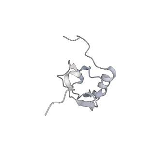 22459_7jss_X_v1-2
ArfB Rescue of a 70S Ribosome stalled on truncated mRNA with a partial A-site codon (+2-II)
