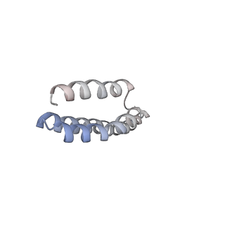 22459_7jss_Y_v1-2
ArfB Rescue of a 70S Ribosome stalled on truncated mRNA with a partial A-site codon (+2-II)