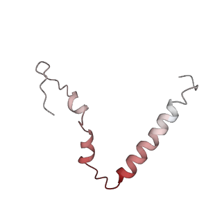 22459_7jss_Z_v1-2
ArfB Rescue of a 70S Ribosome stalled on truncated mRNA with a partial A-site codon (+2-II)