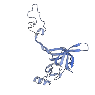 22459_7jss_c_v1-1
ArfB Rescue of a 70S Ribosome stalled on truncated mRNA with a partial A-site codon (+2-II)