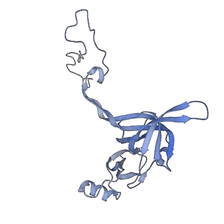 22459_7jss_c_v1-2
ArfB Rescue of a 70S Ribosome stalled on truncated mRNA with a partial A-site codon (+2-II)