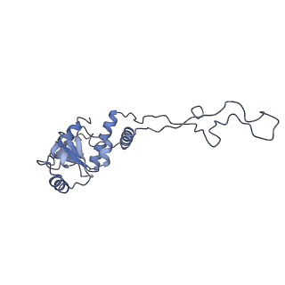 22459_7jss_d_v1-1
ArfB Rescue of a 70S Ribosome stalled on truncated mRNA with a partial A-site codon (+2-II)