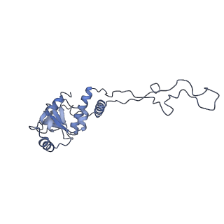 22459_7jss_d_v1-2
ArfB Rescue of a 70S Ribosome stalled on truncated mRNA with a partial A-site codon (+2-II)