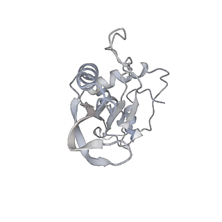 22459_7jss_e_v1-1
ArfB Rescue of a 70S Ribosome stalled on truncated mRNA with a partial A-site codon (+2-II)
