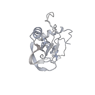 22459_7jss_e_v1-2
ArfB Rescue of a 70S Ribosome stalled on truncated mRNA with a partial A-site codon (+2-II)