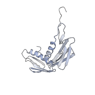 22459_7jss_f_v1-1
ArfB Rescue of a 70S Ribosome stalled on truncated mRNA with a partial A-site codon (+2-II)