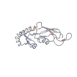 22459_7jss_g_v1-1
ArfB Rescue of a 70S Ribosome stalled on truncated mRNA with a partial A-site codon (+2-II)