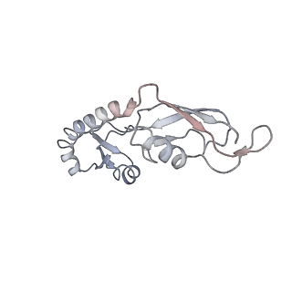 22459_7jss_g_v1-2
ArfB Rescue of a 70S Ribosome stalled on truncated mRNA with a partial A-site codon (+2-II)