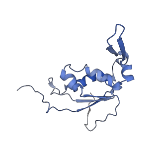 22459_7jss_j_v1-1
ArfB Rescue of a 70S Ribosome stalled on truncated mRNA with a partial A-site codon (+2-II)