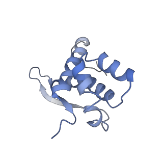 22459_7jss_n_v1-1
ArfB Rescue of a 70S Ribosome stalled on truncated mRNA with a partial A-site codon (+2-II)