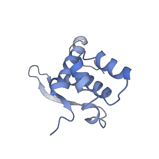 22459_7jss_n_v1-2
ArfB Rescue of a 70S Ribosome stalled on truncated mRNA with a partial A-site codon (+2-II)